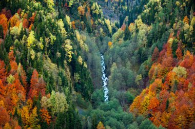 sonbahar dağ yamaçları ve şelale