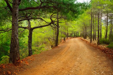 Türk toprak yol