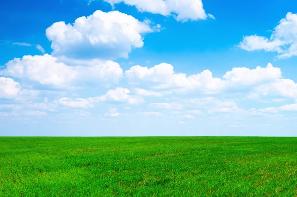 Spring field — Stock Photo, Image