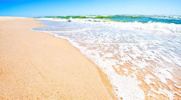 Sandy ocean shore — Stock Photo, Image