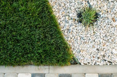 bahçe dekorasyonu asfalt döşeme bitkileri