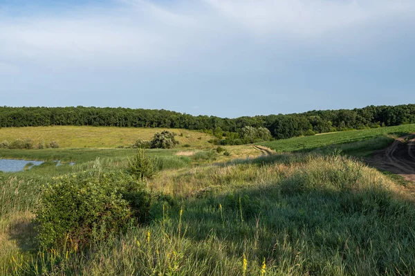 Landschaft Der Sommerlandschaft Der Zentralukraine Europa — Stockfoto