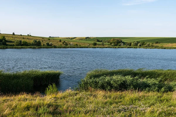 Landschaft Sommer Der Zentralukraine Europa — Stockfoto