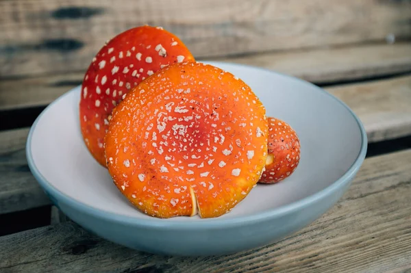 Fly Amanita Comes Musrhoom Traditionally — Stock Photo, Image