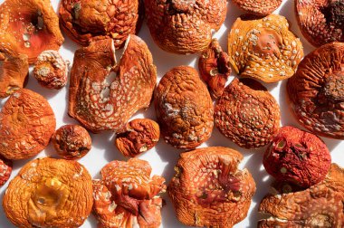 Uç agarik halüsinojen zehirli mantar kuru amanita muscaria 