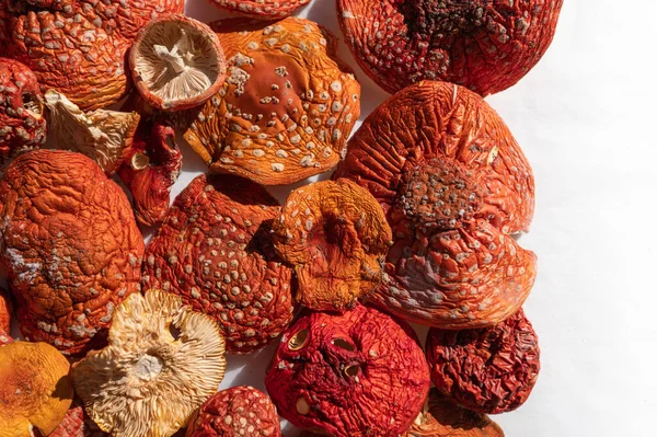 Fly Agaric Amanita Muscaria Természetes Mágikus Száraz Méreg Sapka Piros — Stock Fotó