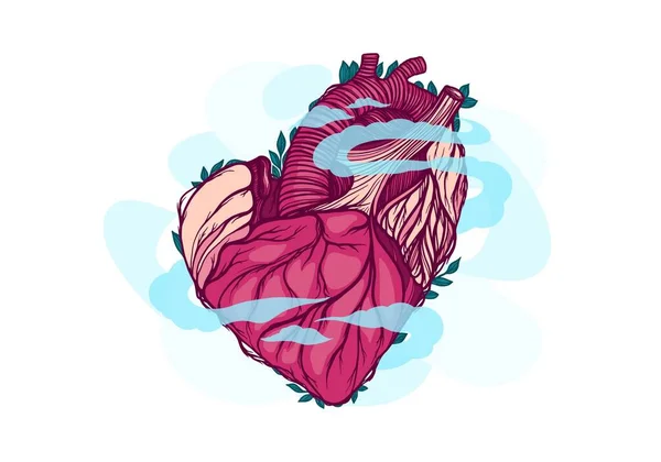 Coração Humano Órgão Interno Gráficos Vetoriais Saúde — Vetor de Stock