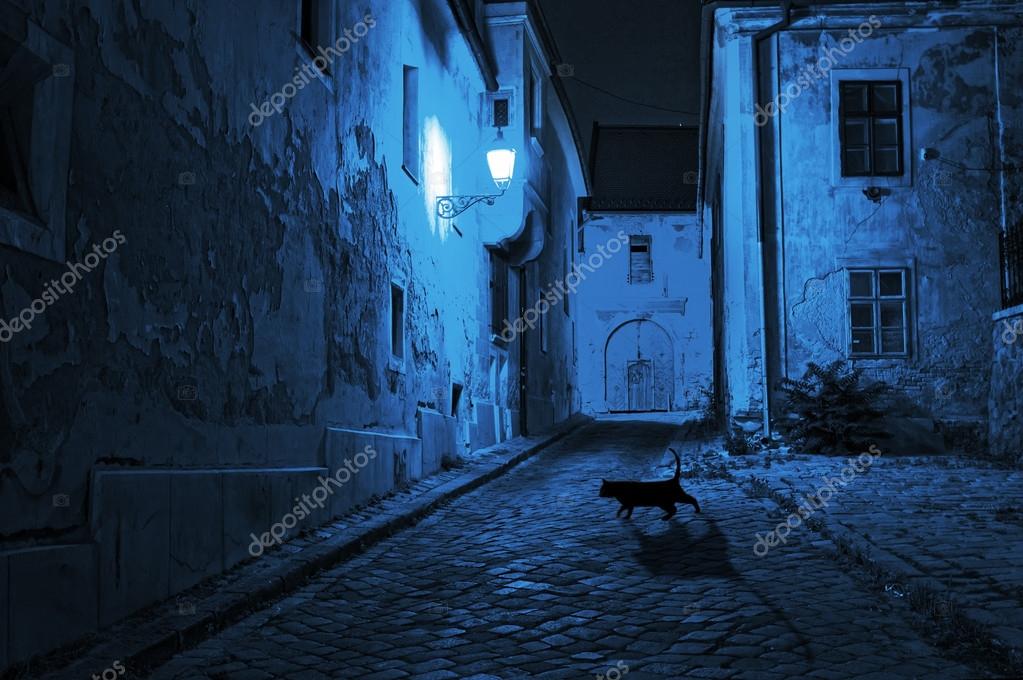 Chat Noir Traverse La Rue Déserte La Nuit Photographie