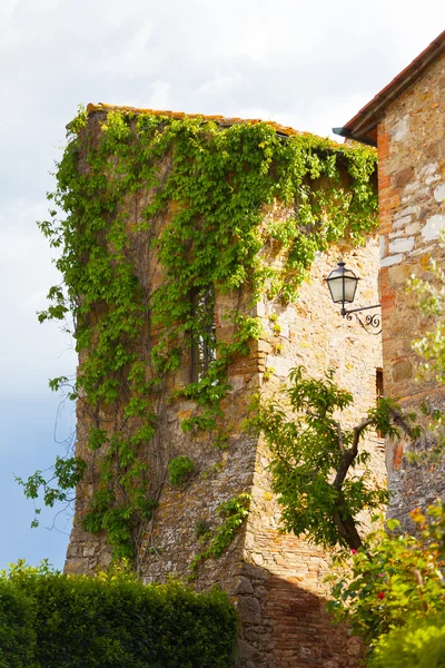 Tower twined grapes