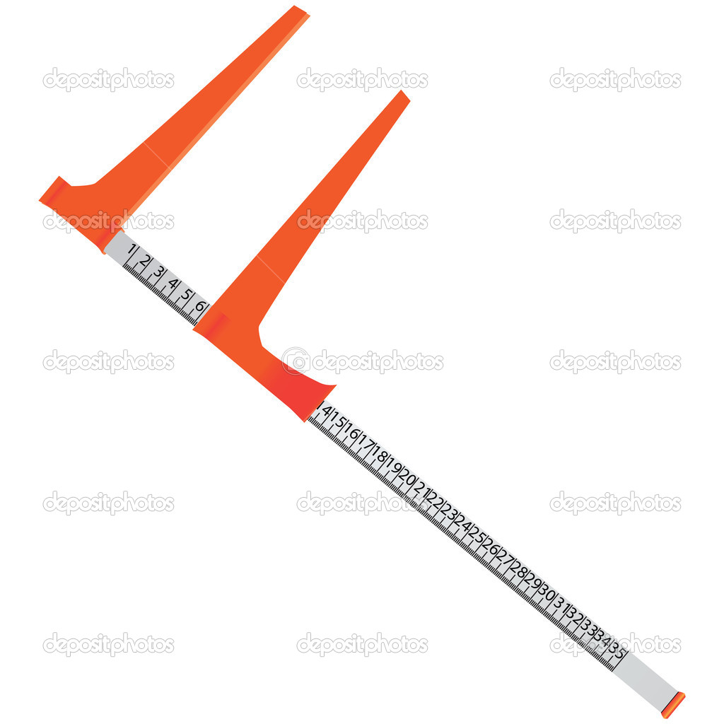 Tree Caliper — Stock Vector © VIPDesignUSA 12370259