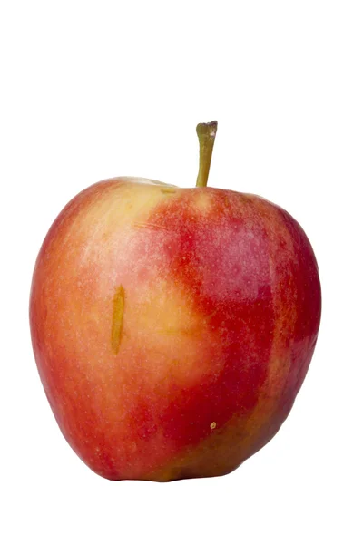 Decaying Gala Apple — Stock Photo, Image