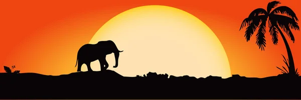 Слон в Африке — стоковый вектор