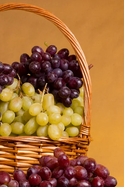 Grapes in wicker basket — Stock Photo, Image