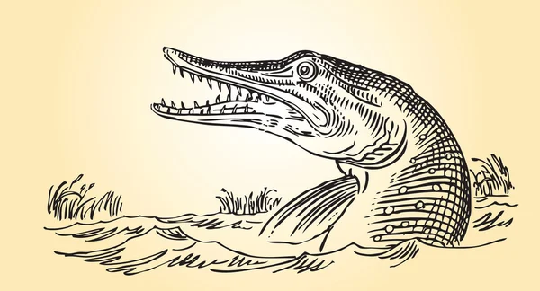 Ποταμού predator - τούρνα — Διανυσματικό Αρχείο