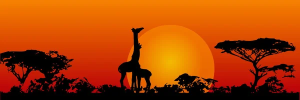 Giraffes in the savanna — Stock Vector