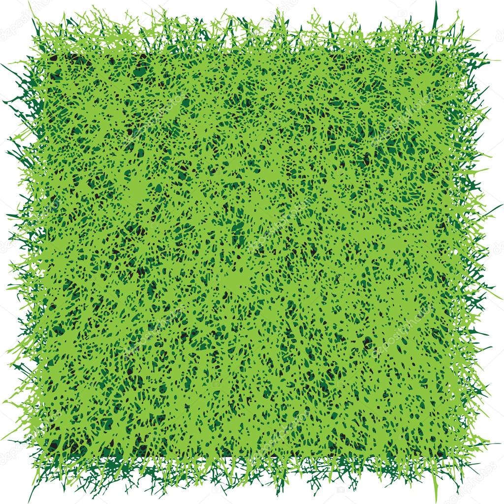 Grass sod