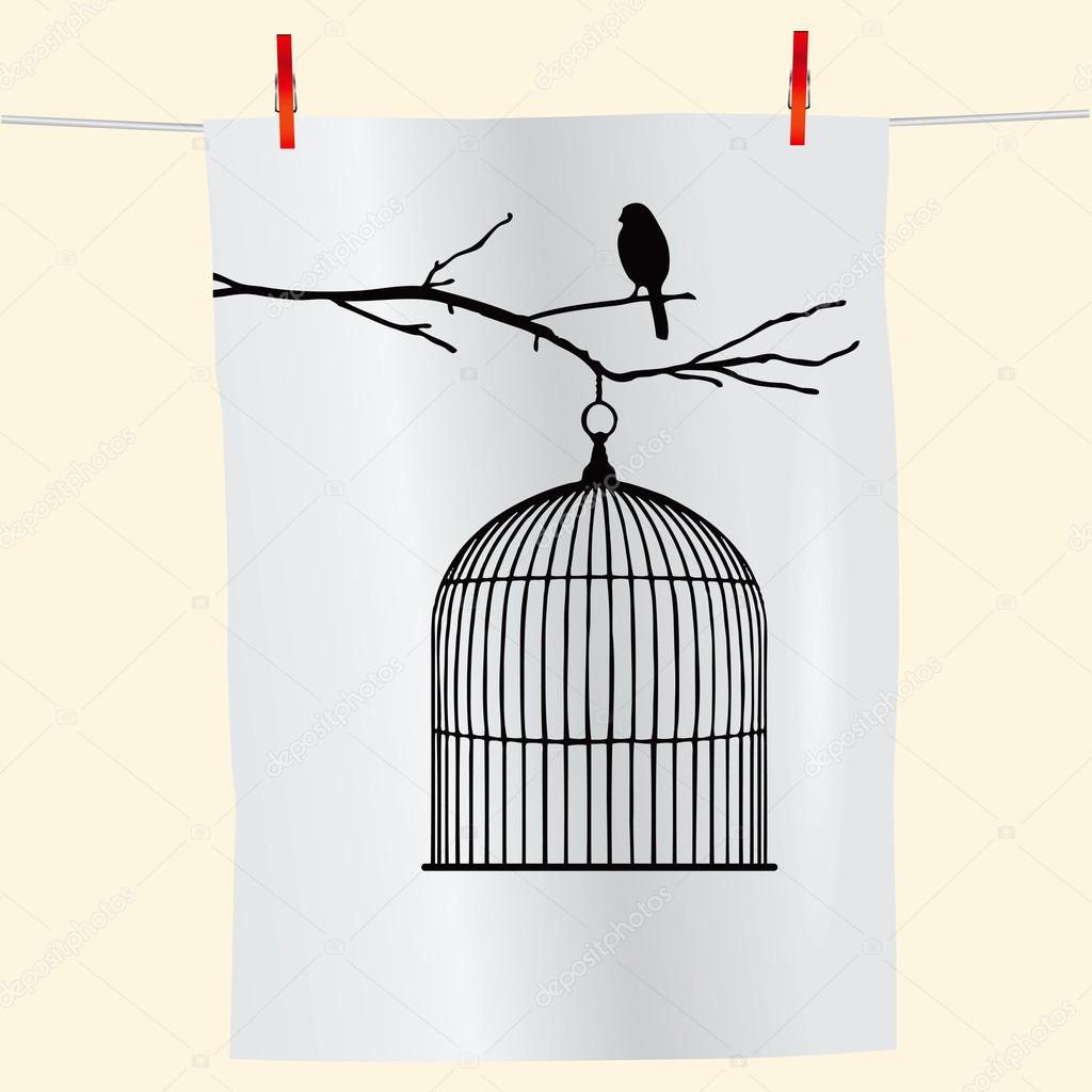 My Image 16