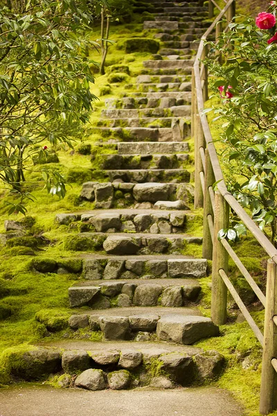 Stone steps — Stock Photo, Image