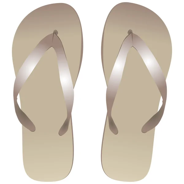 Zapatillas de playa — Vector de stock