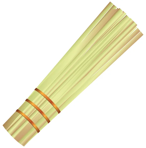 Cepillo de bambú — Vector de stock