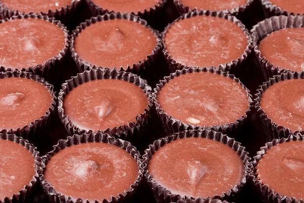 Milk chocolate cups — Stock Photo, Image