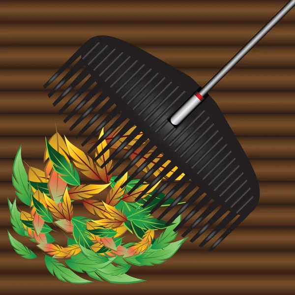 Rakes and fallen leaves — Stock Vector