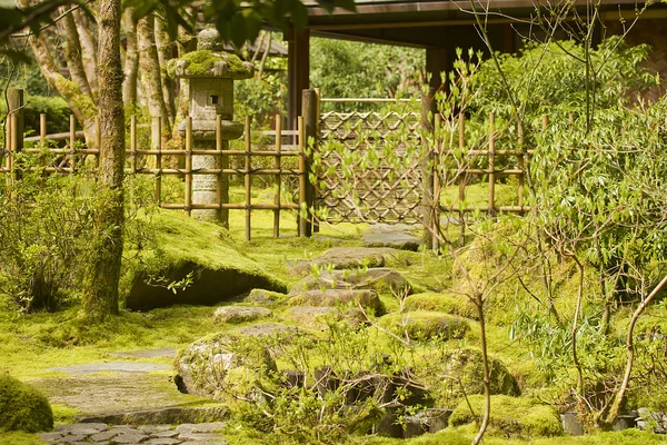 Jardín japonés — Foto de Stock