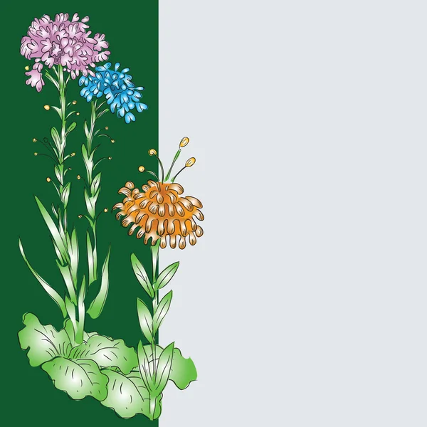 Decorative flowers — Stock Vector