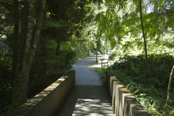 Park path for walking — Stock Photo, Image