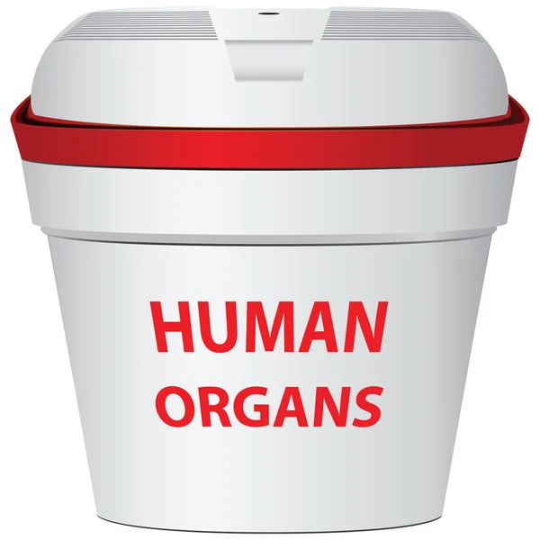 İnsan Organları — Stok Vektör