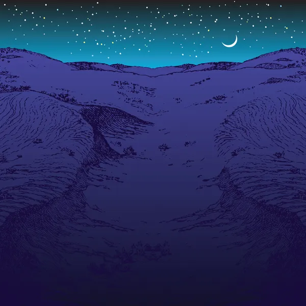晚上沙漠 — 图库矢量图片