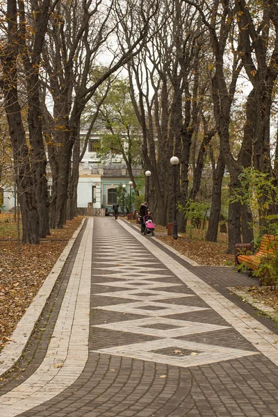 Vicolo del parco — Foto Stock