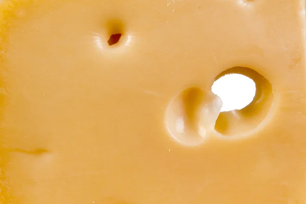 Fondo de queso —  Fotos de Stock
