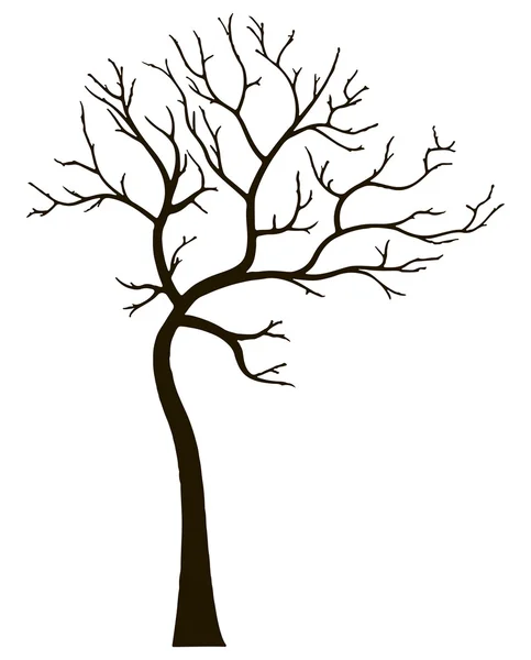 Dekoratif çam ağacı yaprakları olmadan — Stok Vektör