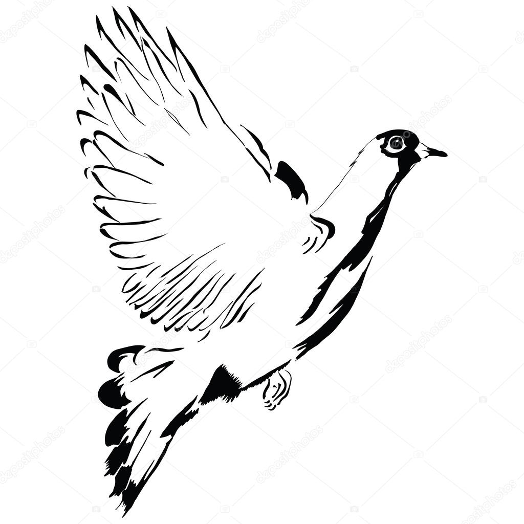 VIPDesignUSA