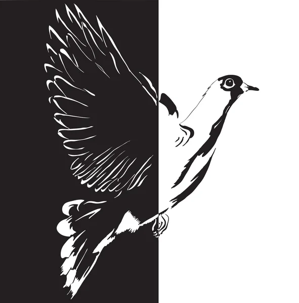 鸽子卡通 — 图库矢量图片