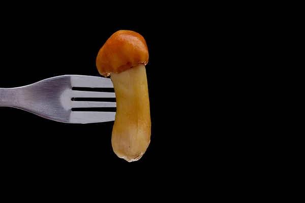Mushroom on a fork — Stock Photo, Image