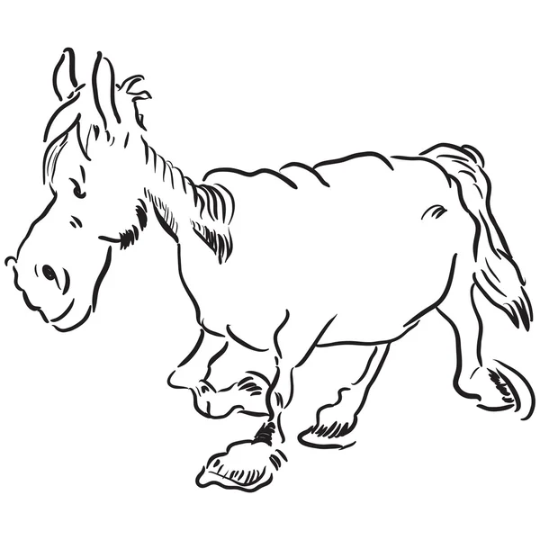Oude paard — Stockvector