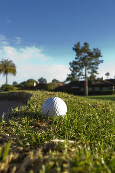 Ball for golf — Stock Photo, Image