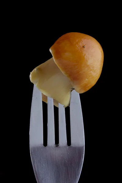 Mushroom on a fork — Stock Photo, Image