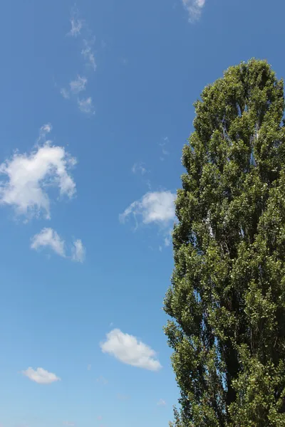 구름과 오픈 스카이 플롯 — 스톡 사진