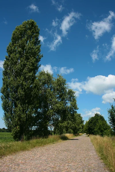 Silnice ze surových kamenů — Stock fotografie