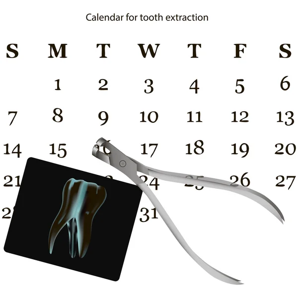 Calendar for tooth extraction — Stock Vector