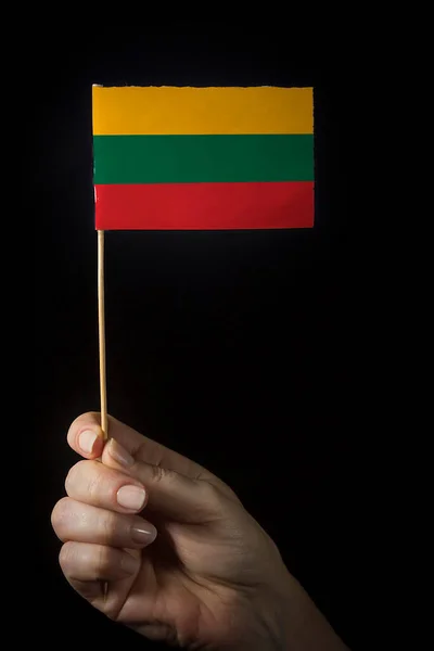 Mão Com Pequena Bandeira Estado Lituânia — Fotografia de Stock