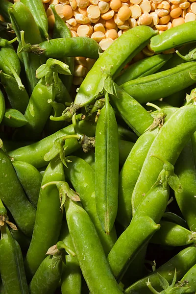 年轻的青豆和干豌豆为背景 — 图库照片