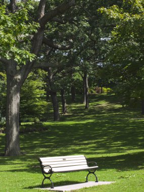 tezgah bir şehir parkı. Şehir toronto. Kanada.