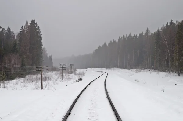 Железная дорога в туманном лесу — стоковое фото