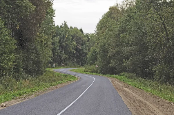 Strada asfaltata sinuosa nella foresta — Foto Stock