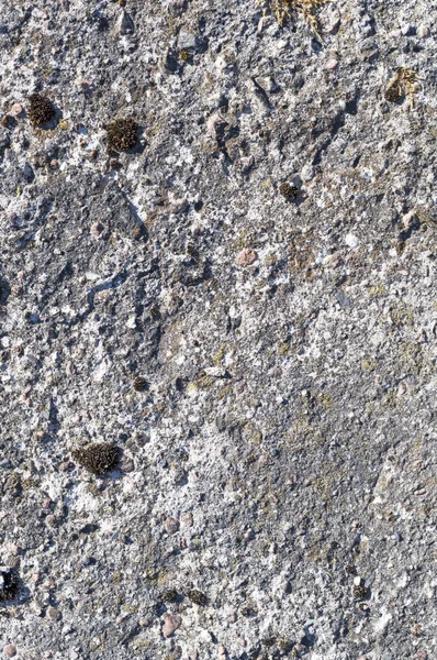 Rough concrete surface — Stock Photo, Image