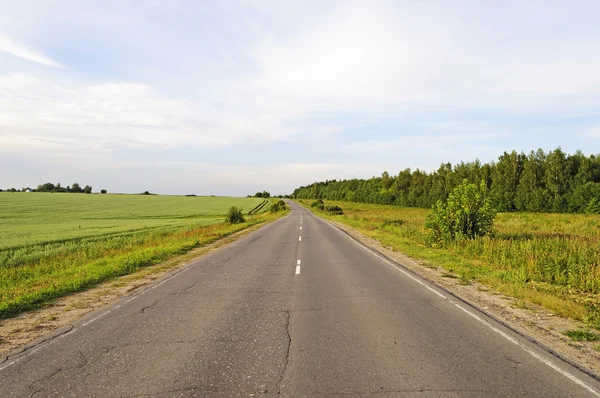 Estrada de asfalto ao longo dos campos verdes — Fotografia de Stock